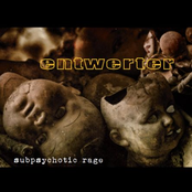 Subpsychotic Rage by Entwerter