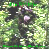 It Sounded Like a Crazy Woman Screaming