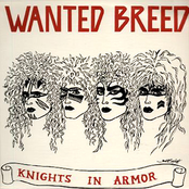 Knights In Armor by Wanted Breed