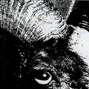 The Rope in Our Hands Stretches for Miles