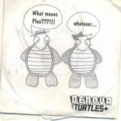 Turtles+