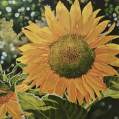 Povo de Deus, Povo Missionário