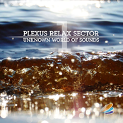 Unknown World Of Sounds