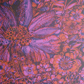 Songs From The Geek Show