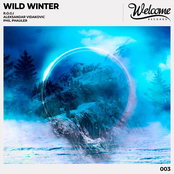 Wild Winter