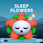 Rain Sounds for Sleep