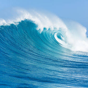 The Beautiful Sounds Of The Ocean