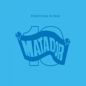 Everything Is Nice: The Matador Records 10th Anniversary Anthology