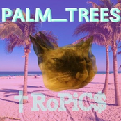 palm_trees