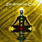 Audi, Cogita, Sile (2013)