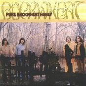 Pure Buckwheat Honey