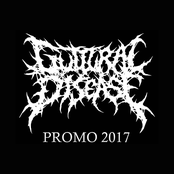 Promo 2017