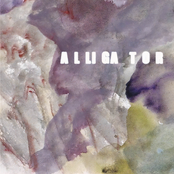 Alligator - Single