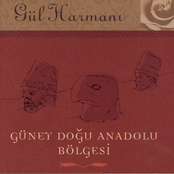 Gul Harmani Guney Dogu Anadolu Bolgesi