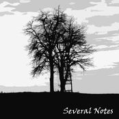 Several Notes