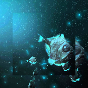 Into the Midnight Zone