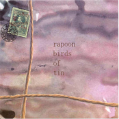 Cast The First Stone by Rapoon & Birds Of Tin