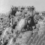 Chaos Is God Neighbour