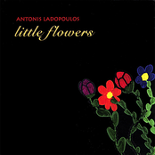 Little Flowers