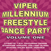 Viper Millennium Freestyle Dance Party Volume 1