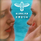 Blubird: Fresh