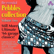 The Essential Pebbles Collection Vol 2