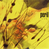 Rotor Syndrome by Peril