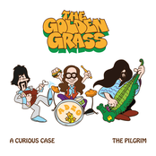 A Curious Case / The Pilgrim