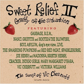 Sweet Relief II: Gravity Of The Situation (The Songs Of Vic Chesnutt)