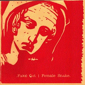 Fake Out/Female Snake Split