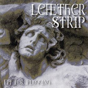 Leaether Strip: Fit for Flogging
