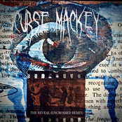 The Reveal (Uncrossed Remix By Steven Olaf)