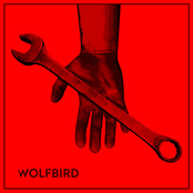 Wolfbird