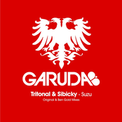 Suzu Incl Ben Gold Remix