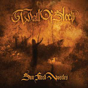 On Pain Of Birth by Wall Of Sleep