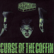 Curse of the coffin Album Picture