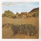 conductor áurico no-lineal