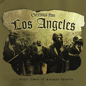 The Hangmen: Greetings from Los Angeles... Eight Years of Acetate Records