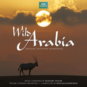 Wild Arabia (Original Television Soundtrack)