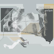 Carapace