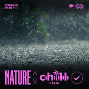 Soothing Rain Songs