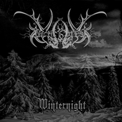 Winternight (winter edition)