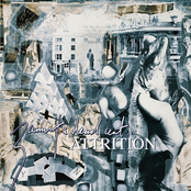 3 Arms and a Dead Cert