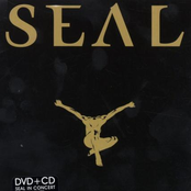 Don't Let It Bring You Down by Seal