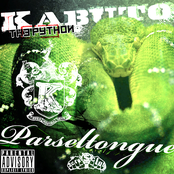 Saving Hip Hop by Kabuto The Python