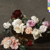 New Order: Power, Corruption & Lies