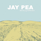 No Love by Jay Pea