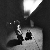 A Picture of Good Health