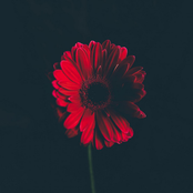 Kpop Piano Covers, Vol. 4