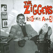 Channel Surfing by The Ziggens